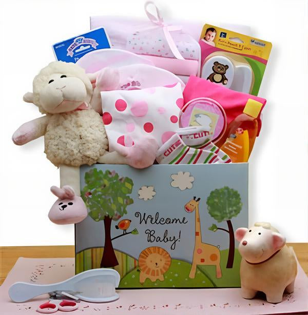 Baby Gift Baskets