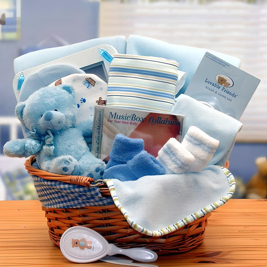 Organic New Baby Basics Gift Baskets - Blue