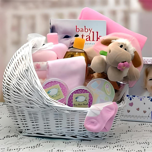 Welcome Baby Bassinet New Baby Basket-Pink