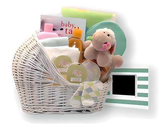 Welcome Baby Bassinet New Baby Basket-Teal