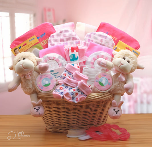 Double Delight Twins New Baby Gift Basket -Pink