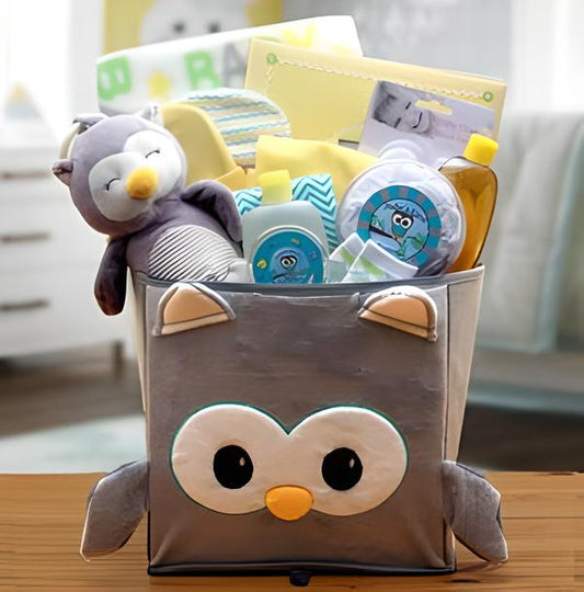 A Little Hoot New Baby Gift Basket
