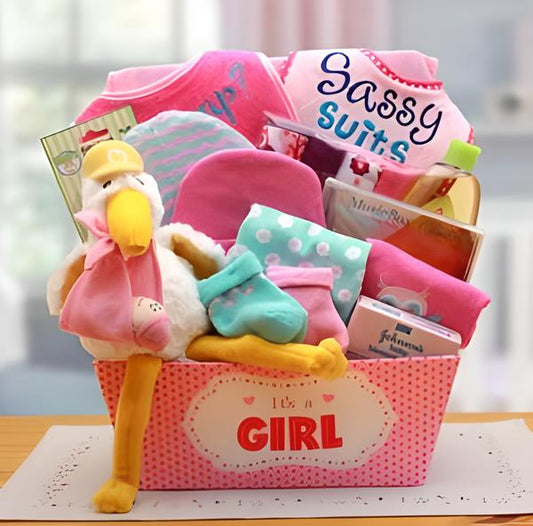 A Special Delivery  New Baby Gift Basket- Pink