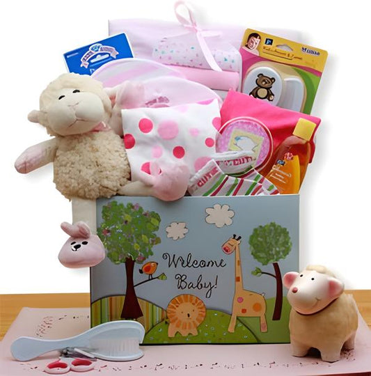 Welcome New Baby Gift Box - Pink